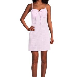 No Boundaries Pink Gingham Mini Dress